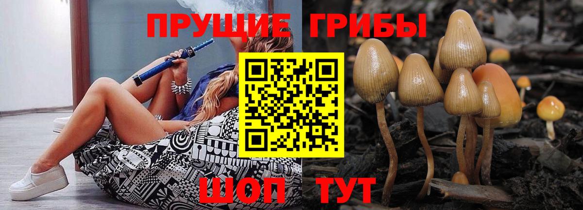 Псилоцибиновые грибы MAGIC MUSHROOMS Шадринск